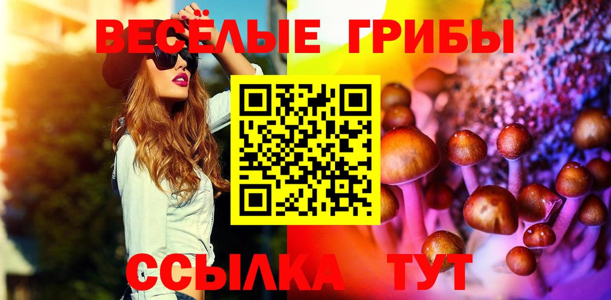 Псилоцибиновые грибы Psilocybe Клин