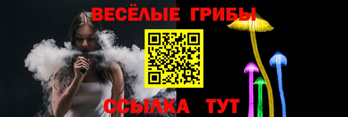 Псилоцибиновые грибы Psilocybine cubensis  Вход с VPN  Клин 